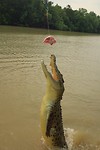 IMG_3766