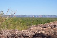 IMG_3870