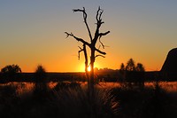 IMG_4168