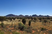 IMG_4186