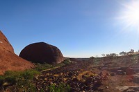 IMG_4260