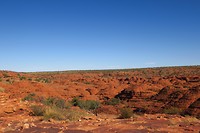 IMG_4364
