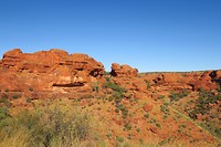 IMG_4368