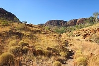 IMG_4496