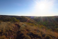 IMG_4501
