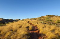 IMG_4508