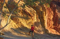 IMG_4515