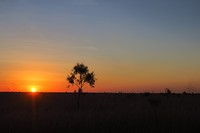 IMG_4556