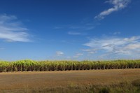 IMG_4560