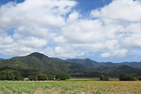 IMG_4569