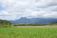 IMG_4576