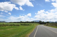 IMG_4578