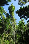 IMG_4597