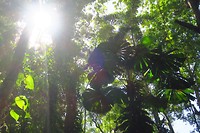 IMG_4598