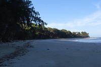 IMG_4631