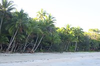 IMG_4633