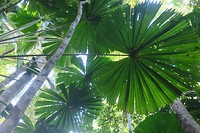 IMG_4648