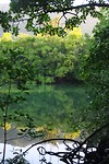 IMG_4660