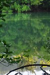 IMG_4661
