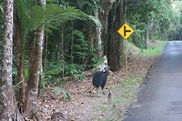 IMG_4672