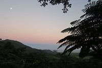 IMG_4678