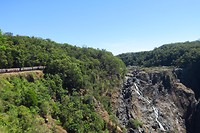 IMG_4705