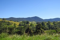 IMG_4719