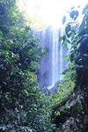 IMG_4736