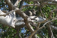 IMG_4894