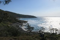 IMG_4905