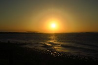 IMG_4929