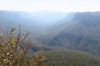 IMG_5189