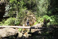 IMG_5209