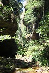 IMG_5218