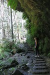 IMG_5226