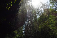 IMG_5236