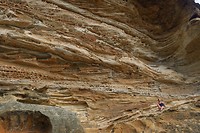 IMG_5251