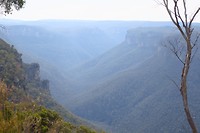 IMG_5261