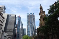IMG_5401