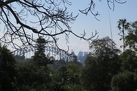 IMG_5486