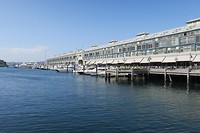 IMG_5488