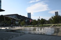 IMG_5494