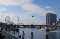 IMG_5496