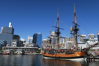 IMG_5505