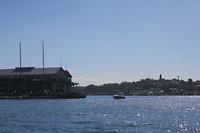 IMG_5507