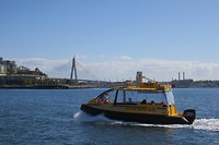 IMG_5509