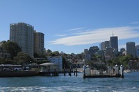 IMG_5515