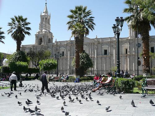 Arequipa