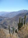 Arequipa, Colca Canyon