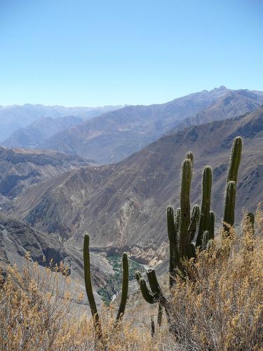 Arequipa, Colca Canyon